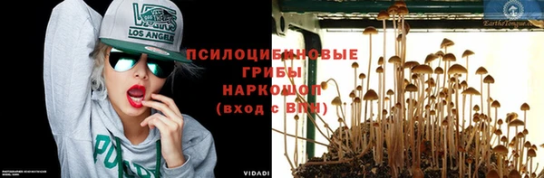 гидропоника Михайлов
