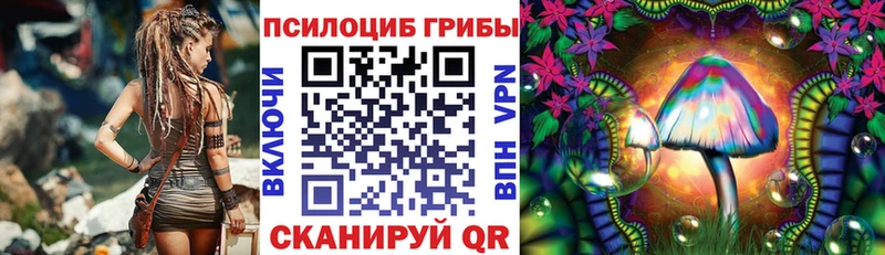 Галлюциногенные грибы Psilocybe KRAKEN зеркало Надым магазин продажи наркотиков