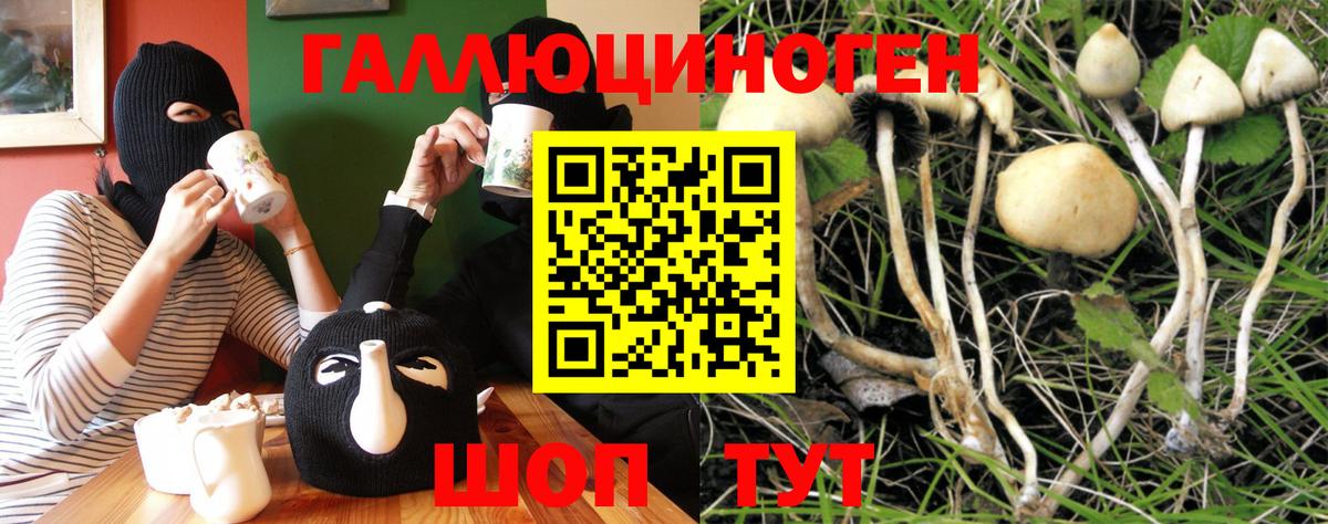 купить наркоту  Псилоцибиновые грибы MAGIC MUSHROOMS  Надым  Вход с VPN  Галлюциногенные грибы MAGIC MUSHROOMS 